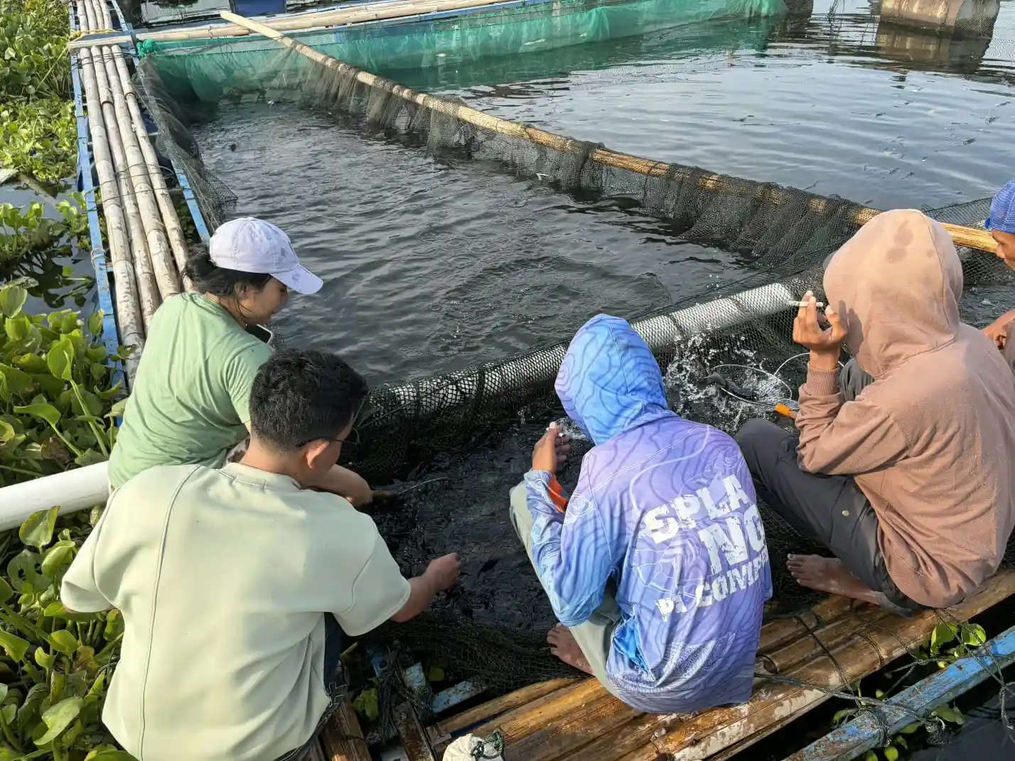 Tim packing profesional DMJ